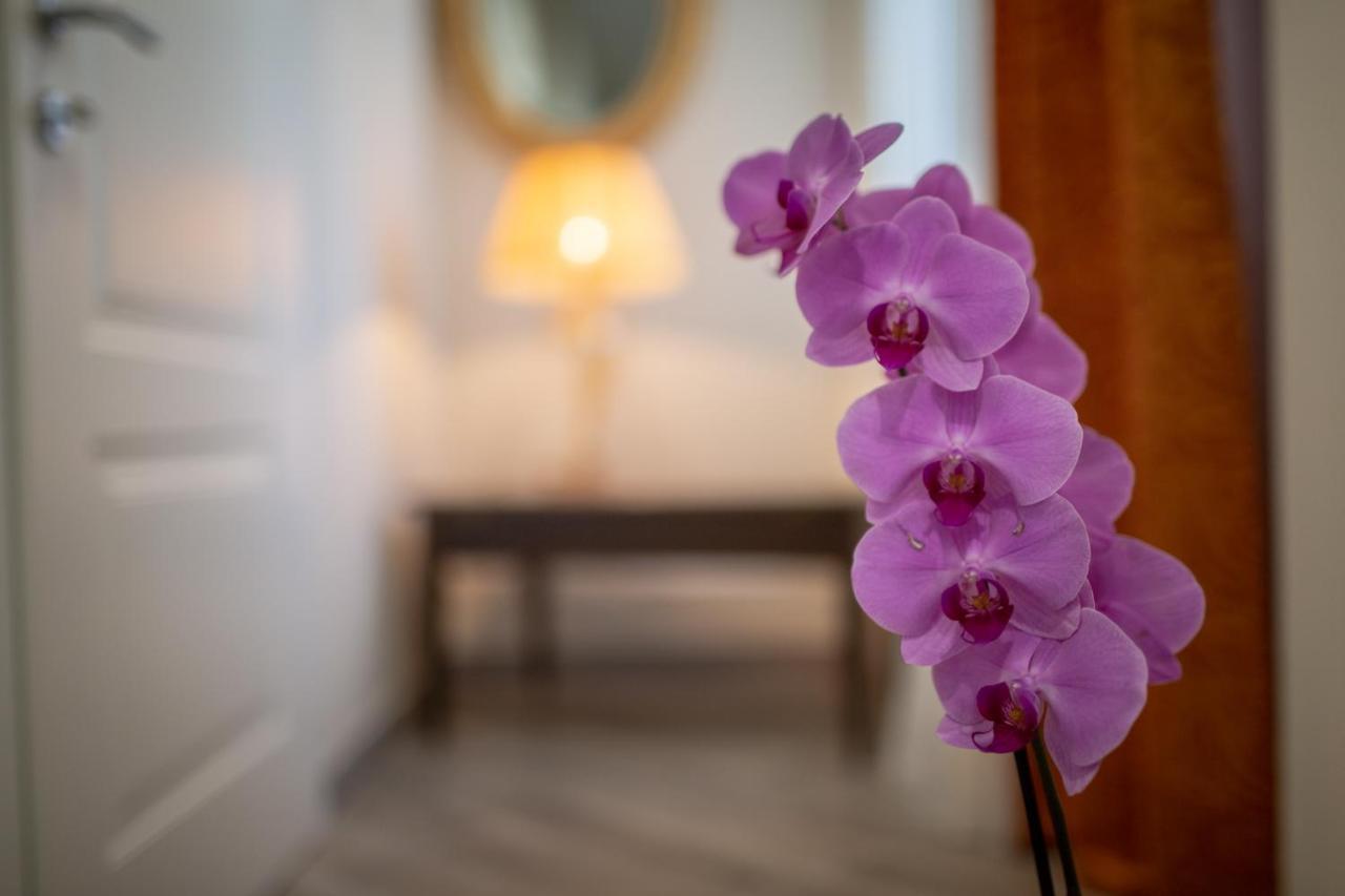 Hotel Saint Joseph Livorno Zewnętrze zdjęcie